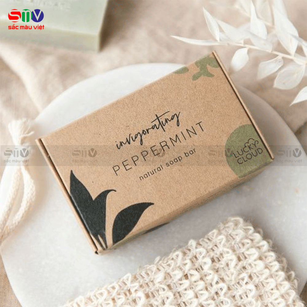 Bao bì hộp carton-