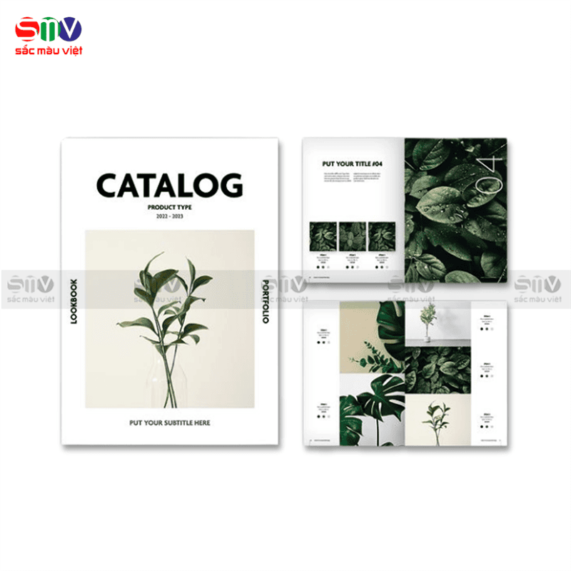 Catalogue giấy mỹ thuật