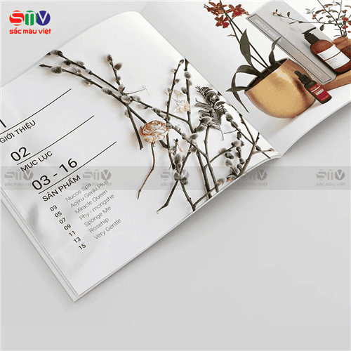 Lưu ý gì khi brand đi in catalogue mỹ phẩm