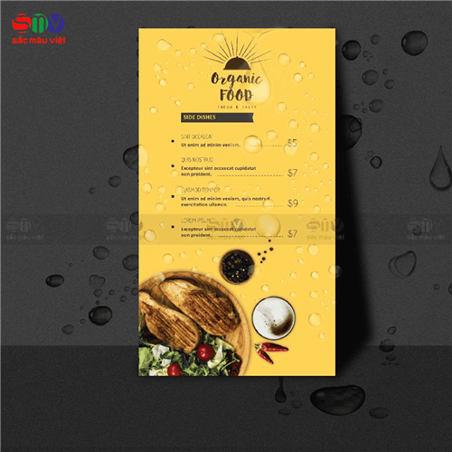 Menu giấy nhựa - Top 1 menu bền đẹp cho mọi hàng quán