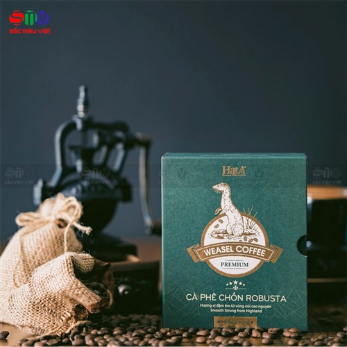 Ưu Điểm Của Các Loại Giấy In Phổ Biến Hiện Nay