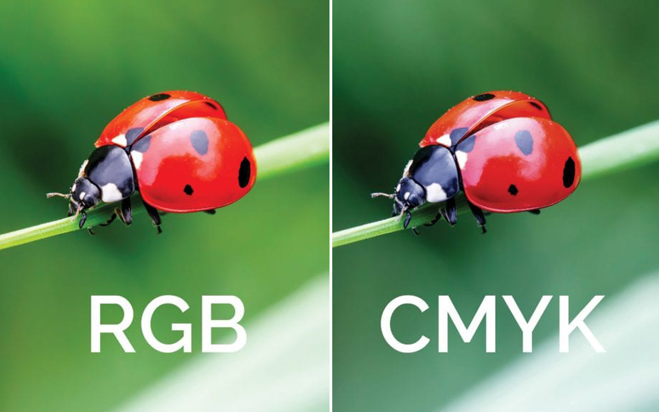 Hệ màu RGB và CMYK: Sự khác biệt ảnh hưởng đến bản in và cách chuyển đổi - In nhanh D2 | Thiết kế - In ấn - Thành phẩm